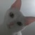:iconjuhcmoraes: