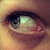 :iconjul-i: