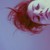 :iconjuliaestrella: