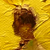 :iconjulian-rowe: