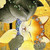 :iconjuliana201289: