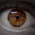 :iconjulianmontilla: