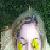:iconjuliannemartin: