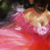 :iconjulichka89: