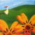 :iconjulie-et-sa-camera: