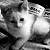 :iconjulie4you: