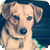 :iconjuliecakes: