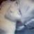 :iconjulieeelovesdesmin:
