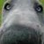 :iconjulielou2: