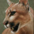 :iconjulieolsen: