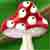 :iconjulieskotte: