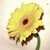 :iconjuliev: