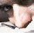 :iconjuliobcosta2: