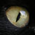 :iconjuliworld: