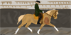 :iconjumping-fox-stables: