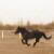 :iconjumprider87: