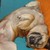 :iconjumpsuperfun:
