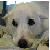 JuneauDaisy :iconjuneaudaisy: