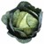 :iconJunior-Kickstart: