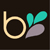 :iconjuniorbiroli: