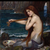 :iconjuniper-goblinfly: