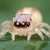 :iconjunkalchemy: