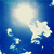 :iconjunkieday: