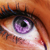 :iconjunlicious: