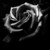 :iconjunmaddox: