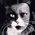 :iconjunomagic:
