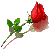 :iconjupiterdrops: