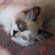 :iconjupitersthunder: