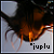 :iconjuplu: