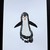:iconjuptercreek: