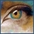:iconjurabetta: