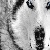 :iconjurubox589: