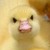 :iconjuskigraph: