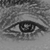 :iconjust-a-user: