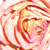 :iconjust-about-nothing: