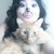 :iconjust-another-stray: