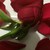 :iconjust-because-2011: