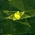 :iconjust-dazzle: