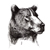 :iconjust-ellen: