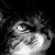 :iconjust-me-and-my-stuff: