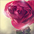 :iconjust-me-just-i: