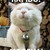 :iconjust-teka: