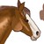 :iconjust-that-awesome: