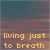 :iconjust-to-breath: