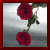 :iconjustadumbnewbie: