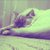 :iconjustanordinaryday: